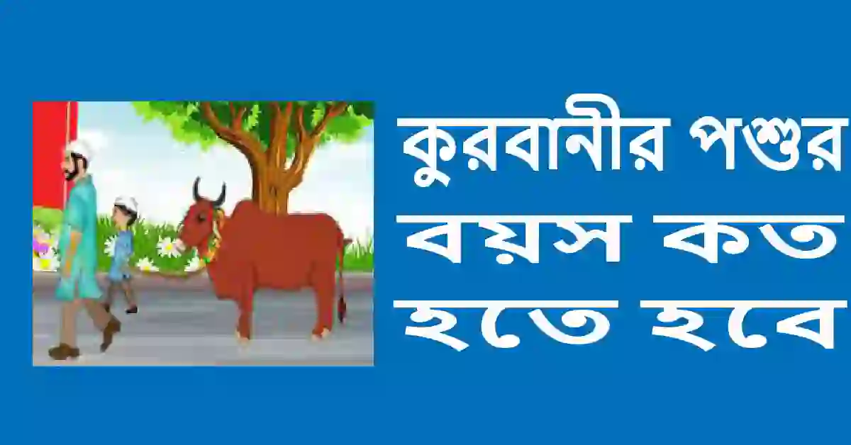 কুরবানীর পশুর বয়স কত হতে হবে