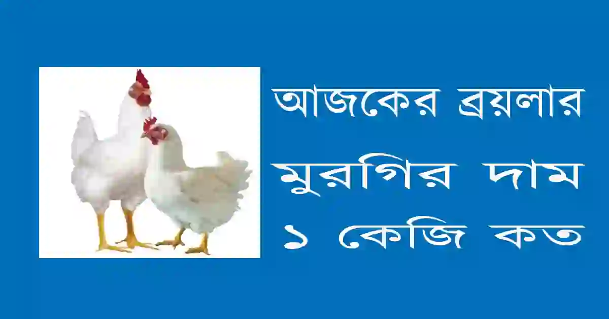 আজকের ব্রয়লার মুরগির দাম