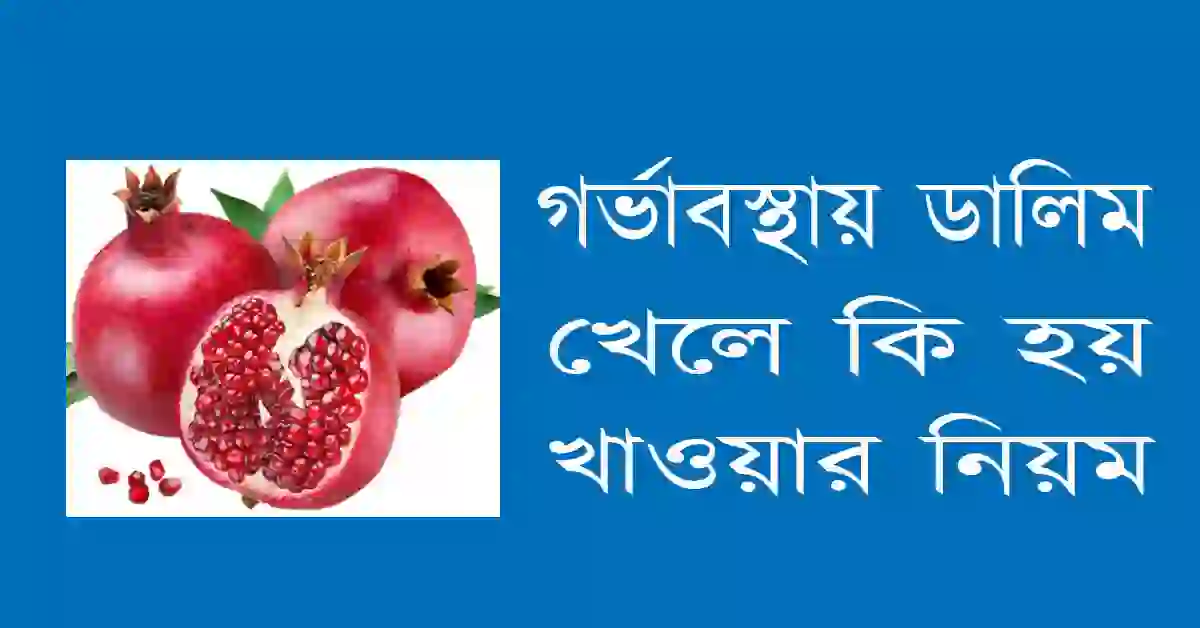 গর্ভাবস্থায় ডালিম খেলে কি হয়